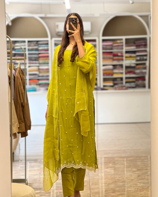 Tela by ash women organza Partywear salwar set